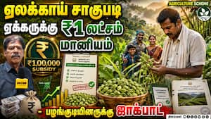 ஏலக்காய் சாகுபடியை ஊக்குவிக்க மத்திய அரசின் சிறப்பு மானியம்  