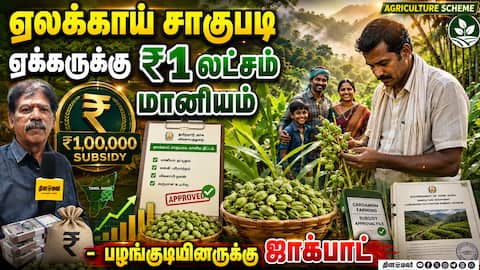 ஏலக்காய் சாகுபடியை ஊக்குவிக்க மத்திய அரசின் சிறப்பு மானியம் Central Government's special subsidy