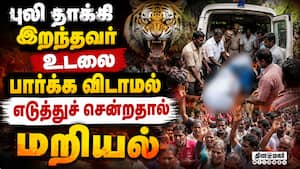 மாவட்ட செய்திகள்  
