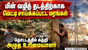 தோட்டத்தில் வளர்க்கப்பட்ட 100 மரங்கள் வெட்டி சாய்ப்பு: மின் வாரிய அதிகாரிகள் செயலால் அதிர்ச்சி