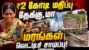 போலீஸ் பாதுகாப்புடன் விவசாய நிலத்தில் புகுந்து மின் வாரியம் அத்துமீறல் | Teak and Mango Trees ₹2 Cr போலீஸ் பாதுகாப்புடன் விவசாய நிலத்தில் புகுந்து மின் வாரியம் அத்துமீறல் | Teak and Mango Trees ₹2 Cr