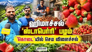 ஆண்டுக்கு ₹40 லட்சம் லாபம்  