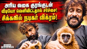 விக்ரம் வீட்டில் வளர்க்கப்படும் குரங்கு வனத்துறை விசாரணை! Actor Vikram | Lar Gibbon விக்ரம் வீட்டில் வளர்க்கப்படும் குரங்கு வனத்துறை விசாரணை! Actor Vikram | Lar Gibbon