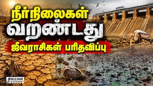 தண்ணீர், உணவு கிடைக்காமல் தவிக்கும் வாயில்லா ஜீவன்கள்  