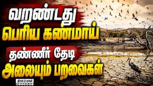 மாவட்ட செய்திகள்  