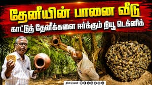 தேனீ வளர்ப்பில் மண்சட்டி வைத்து புதிய முயற்சி | A new initiative in beekeeping in a clay pot தேனீ வளர்ப்பில் மண்சட்டி வைத்து புதிய முயற்சி | A new initiative in beekeeping in a clay pot