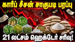 சர்க்கரை மீதான இறக்குமதி வரியை ரத்து செய்ய மத்திய அரசு பரிசீலனை!kharif Season  