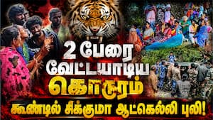கூடலுாரில் மனிதர்களை வேட்டையாடும் ஆட்கொல்லி புலி  