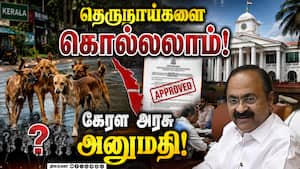 ஆபத்தான தெருநாய்களை கருணைக்கொலை செய்ய கேரள அரசு அனுமதி