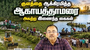 நன்றி சொல்லி பறக்கும் சரணாலய பறவைகள்   Tiruppur nanjarayan kulam Bird sanctuary agaya thamarai vetry