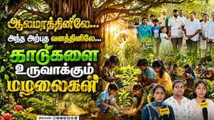 கோவையில் அதிசயமே அசந்து போகும் அதிசயம் | Little ones Creating Forests கோவையில் அதிசயமே அசந்து போகும் அதிசயம் | Little ones Creating Forests