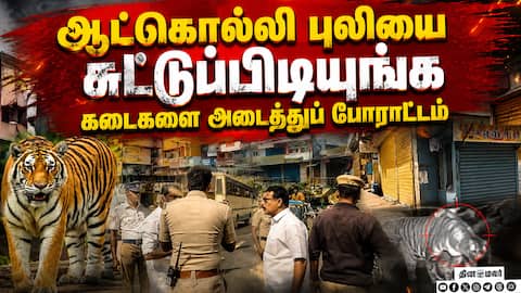 2 பேரை வேட்டையாடிய ஆட்கொல்லி புலி Protest with Shops Closed