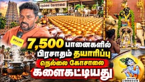 கோகுலாஷ்டமிக்கு தயாராகும் நெல்லை கோசாலை  