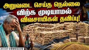 மாவட்ட செய்திகள்  