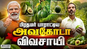 மாவட்ட செய்திகள்  