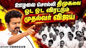 மாவட்ட செய்திகள்  