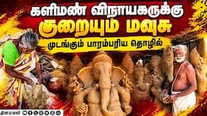 மாவட்ட செய்திகள்  