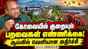 காரணம் என்ன? ஆய்வாளர்கள் சொல்லும் தகவல்கள்  Coimbatore  