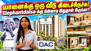 யானைக்கு ஒரு வீடு கிடைச்சிருச்சு!  Elephantdaisa-க்கு பின்னாடி இதுதான் இருக்கா?!
