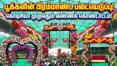 பூக்களின் பிரம்மாண்ட படையெடுப்பு! கொடிசியா முழுவதும் வண்ணக் கொண்டாட்டம்!