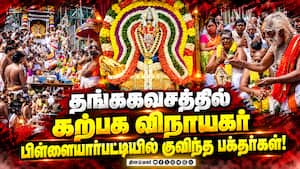 கோயில் திருக்குளத்தில் தீர்த்தவாரி உற்சவம்
