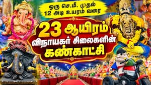10 நாட்கள் கண்காட்சி; அனுமதி இலவசம்  