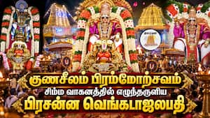 குணசீலம் பெருமாள் சிம்ம வாகனத்தில் எழுந்தருளல்  