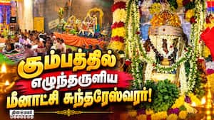 கும்பாபிஷேக வேள்வியில் பூஜையில் பக்தர்கள் தரிசனம் Meenakshi Temple | Madurai temple கும்பாபிஷேக வேள்வியில் பூஜையில் பக்தர்கள் தரிசனம் Meenakshi Temple | Madurai temple