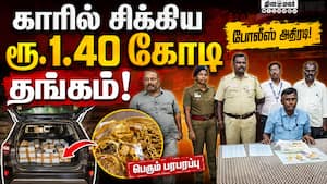 மாவட்ட செய்திகள்  