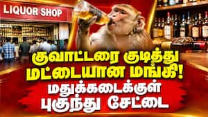 ஃபுல் போதையில் கடைக்குள் தூங்கிய குரங்கு monkey 