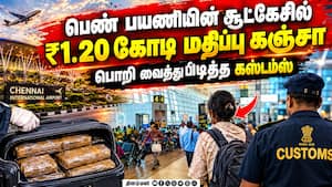 மலேசியாவில் இருந்து சென்னைக்கு கஞ்சா கடத்தல்  
