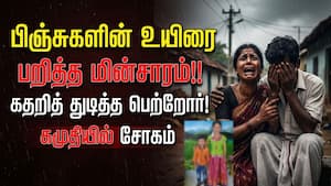 கமுதி அருகே மின்சாரம் பாய்ந்து அக்கா - தம்பி பலி