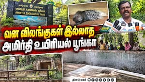 சுற்றுலாப் பயணிகள் ஏமாற்றம் | A Park without Wildlife