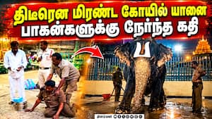 மாவட்ட செய்திகள் | 04-10-2026 மாவட்ட செய்திகள் | 04-10-2026