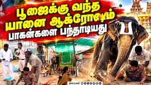 திருச்சானூர் பத்மாவதி தாயார்  கோயிலில் திடீர் பரபரப்பு   