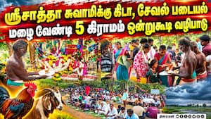 ஆடு, கோழி பலியிட்டு சிறப்பு பூஜை  