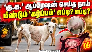 'ஏபிசி' கண் துடைப்பு நாடகமா ?  