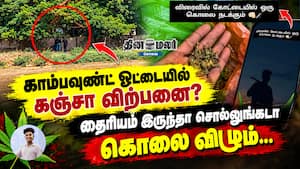 காம்பவுண்ட் ஓட்டையில் கஞ்சா விற்பனை? தைரியம் இருந்தா சொல்லுங்கடா கொலை விழும்...