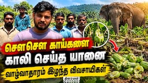 விவசாயிகளுக்கு ₹8 லட்சம் நஷ்டம் | Chayote Crop Damage விவசாயிகளுக்கு ₹8 லட்சம் நஷ்டம் | Chayote Crop Damage