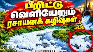 மாவட்ட செய்திகள் | 17-10-2026 மாவட்ட செய்திகள் | 17-10-2026
