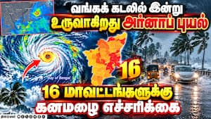 அர்னாப் புயலால் எந்தெந்த மாவட்டங்களில் மழை: வானிலை மையம் அறிவிப்பு  