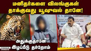 சிறுமியை சிறுத்தை தாக்கிய சம்பவத்துக்கு அமைச்சர் பதில்
