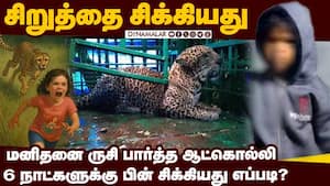 வால்பாறையை அலறவிட்ட சிறுத்தை சிக்கியது  