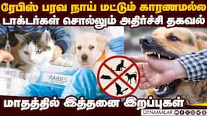 தமிழகத்தை உலுக்கும் ரேபிஸ் எமன்: ஷாக் ரிப்போர்ட்  