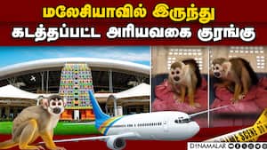 திருச்சி ஏர்போர்ட்டில் குரங்குடன் சிக்கிய பயணி!  