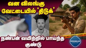 மாவட்ட செய்திகள்  