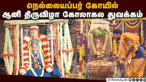 ஜூலை 8ல் தேரோட்டம்; ஏற்பாடுகள் விறுவிறு  