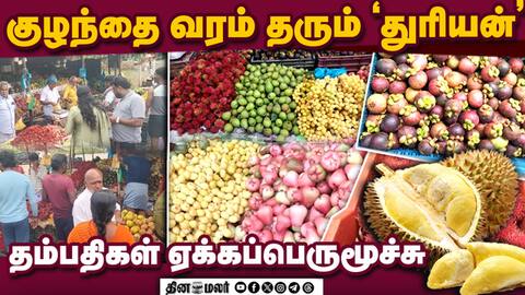 துரியன் எங்கே? அலைப்பாயும் மனசு Durian fruit that gives birth to a child