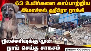நிலச்சரிவில் இருந்து 63 உயிரை நாய் காப்பாற்றியது எப்படி? ருசிகர தகவல்  Dog Rocky saved 63 lives land
