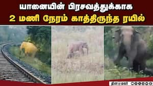 சரியான நேரத்தில் கவனித்த வனத்துறைக்கு பாராட்டு!  